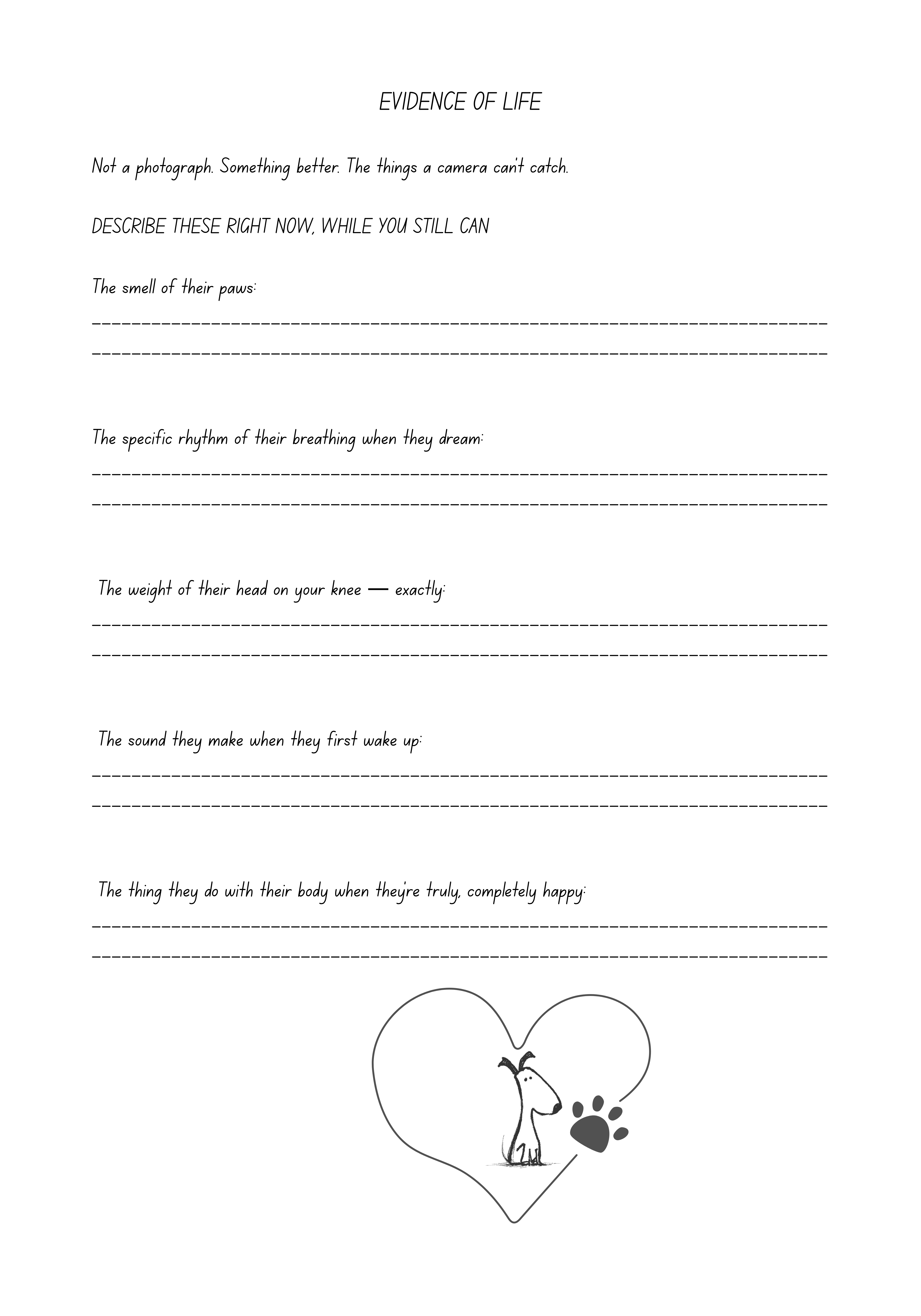 Interior page — reflections